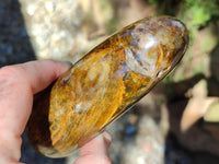 Polished Neolite Standing Free Forms x 3 From Prieska, South Africa
