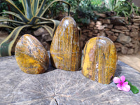 Polished Neolite Standing Free Forms x 3 From Prieska, South Africa