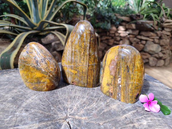Polished Neolite Standing Free Forms x 3 From Prieska, South Africa