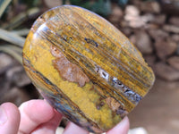 Polished Neolite Standing Free Forms x 3 From Prieska, South Africa