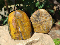 Polished Neolite Standing Free Forms x 3 From Prieska, South Africa