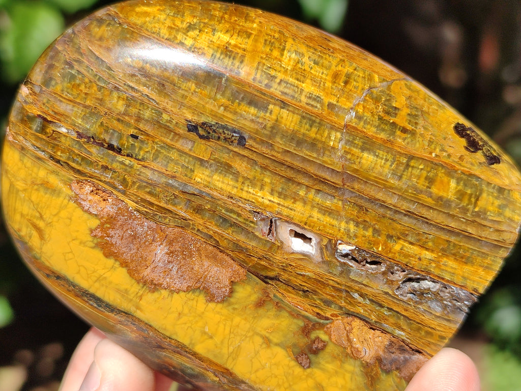 Polished Neolite Standing Free Forms x 3 From Prieska, South Africa - Toprock Gemstones and Minerals 