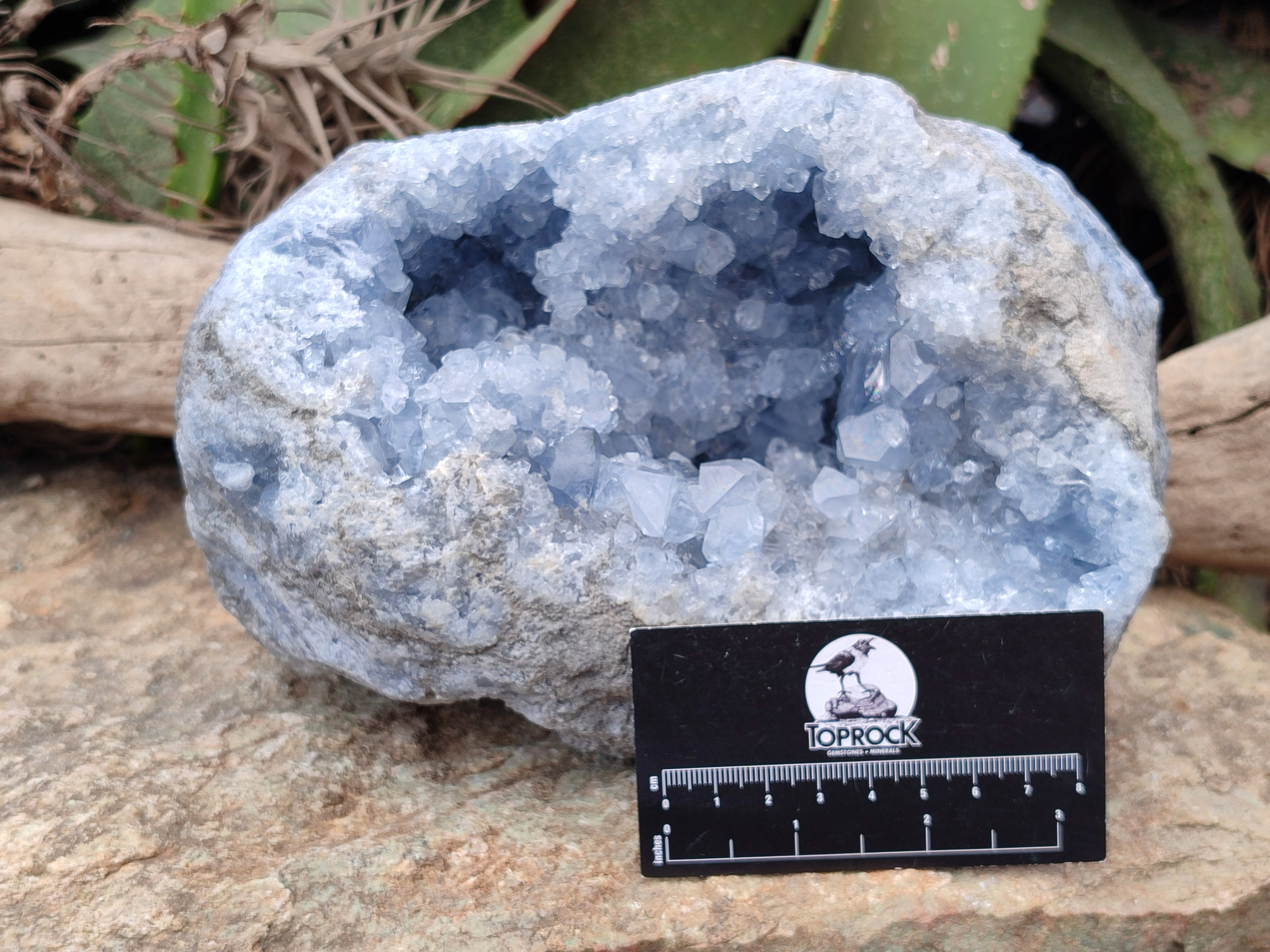 Natural Celestite Geode Specimens x 1 From Sakoany, Madagascar - Toprock Gemstones and Minerals 