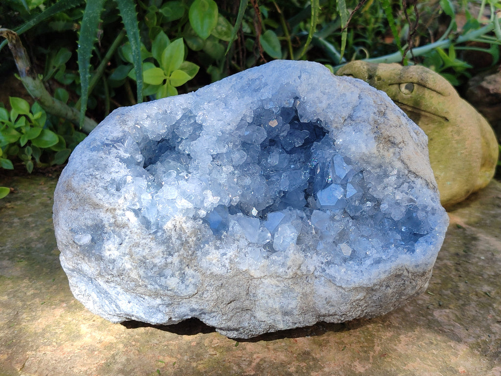 Natural Celestite Geode Specimens x 1 From Sakoany, Madagascar - Toprock Gemstones and Minerals 