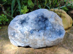Natural Celestite Geode Specimens x 1 From Sakoany, Madagascar - Toprock Gemstones and Minerals 