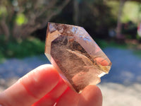 Polished Smokey Quartz Crystals x 12 From Madagascar