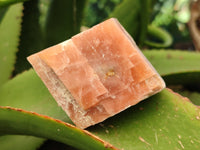 Natural Sunset Orange Rhombohedron Calcite Specimens x 12 From Spitzkop, Namibia