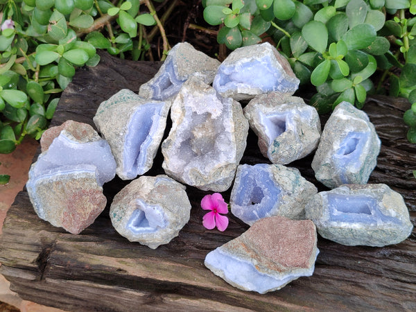 Natural Blue Lace Agate Geode Specimens x 12 From Nsanje, Malawi