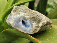 Natural Blue Lace Agate Geode Specimens x 12 From Nsanje, Malawi