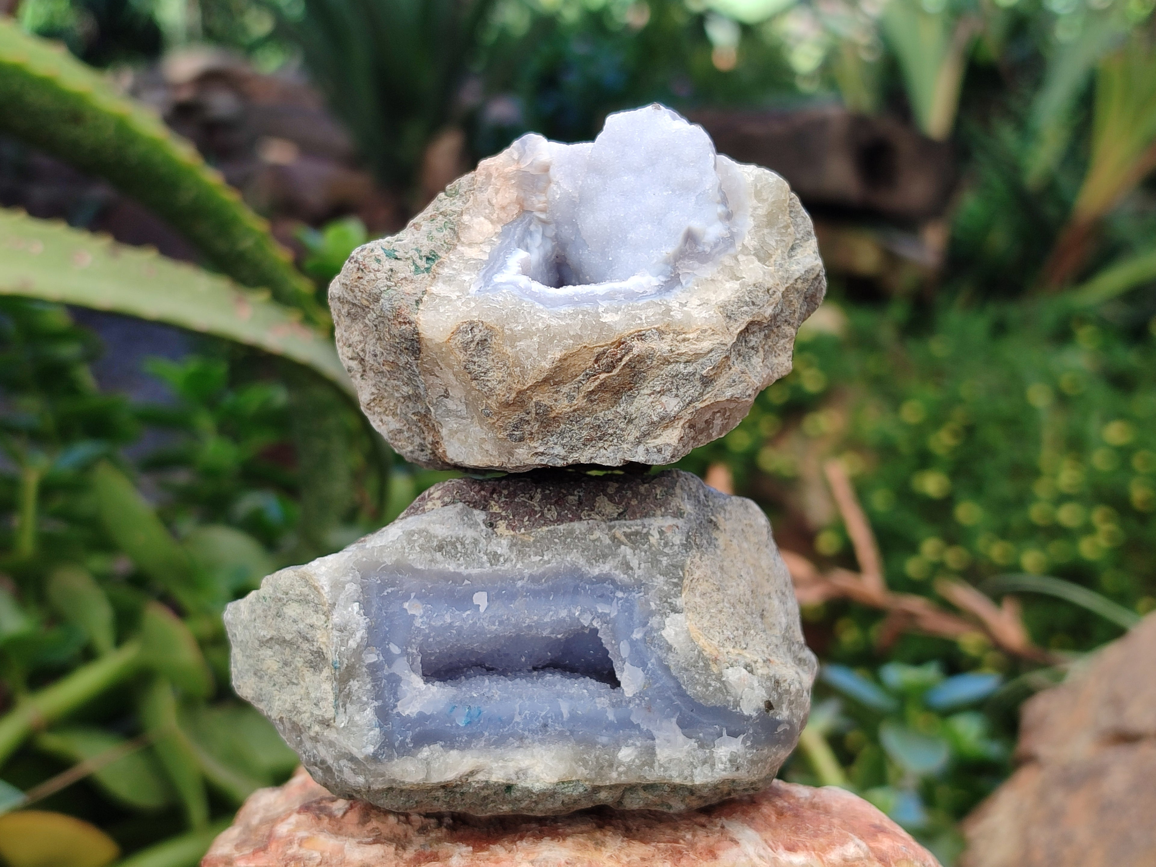 Natural Blue Lace Agate Geode Specimens x 12 From Nsanje, Malawi - Toprock Gemstones and Minerals 