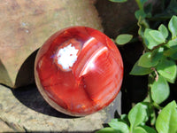 Polished Carnelian Agate Spheres x 4 From Madagascar