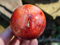 Polished Carnelian Agate Spheres x 4 From Madagascar