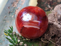 Polished Carnelian Agate Spheres x 4 From Madagascar