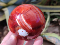 Polished Carnelian Agate Spheres x 4 From Madagascar