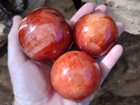 Polished Carnelian Agate Spheres x 4 From Madagascar