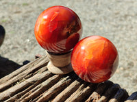 Polished Carnelian Agate Spheres x 4 From Madagascar