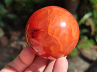 Polished Carnelian Agate Spheres x 4 From Madagascar