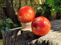 Polished Carnelian Agate Spheres x 4 From Madagascar