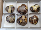 Polished Fossilized Septerye Hearts x 6 From Mahajanga, Madagascar - Toprock Gemstones and Minerals 