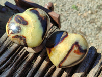 Polished Fossilized Septerye Hearts x 6 From Mahajanga, Madagascar
