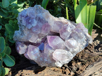 Natural Jacaranda Amethyst Quartz Cluster x 1 From Mumbwa, Zambia