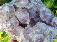 Natural Jacaranda Amethyst Quartz Cluster x 1 From Mumbwa, Zambia