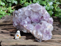 Natural Jacaranda Amethyst Quartz Cluster x 1 From Mumbwa, Zambia