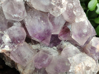 Natural Jacaranda Amethyst Quartz Cluster x 1 From Mumbwa, Zambia