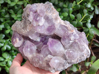 Natural Jacaranda Amethyst Quartz Cluster x 1 From Mumbwa, Zambia