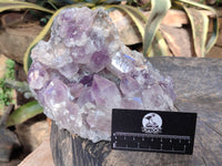 Natural Jacaranda Amethyst Quartz Cluster x 1 From Mumbwa, Zambia