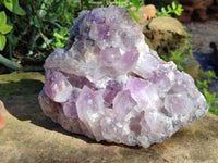 Natural Jacaranda Amethyst Quartz Cluster x 1 From Mumbwa, Zambia