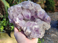 Natural Jacaranda Amethyst Quartz Cluster x 1 From Mumbwa, Zambia