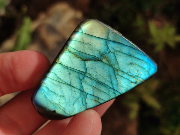 Polished Labradorite Standing Free Forms x 20 From Tulear, Madagascar
