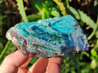 Natural Chrysocolla Blade Crystal Pseudomorph after Malachite with Drusy Coated Ball Malachite on Dolomite x 2 From Lupoto Mine, Congo