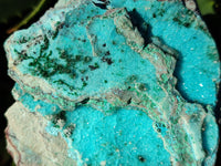 Natural Chrysocolla Blade Crystal Pseudomorph after Malachite with Drusy Coated Ball Malachite on Dolomite x 2 From Lupoto Mine, Congo