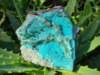 Natural Chrysocolla Blade Crystal Pseudomorph after Malachite with Drusy Coated Ball Malachite on Dolomite x 2 From Lupoto Mine, Congo