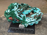 Natural Chrysocolla Blade Crystal Pseudomorph after Malachite with Drusy Coated Ball Malachite on Dolomite x 2 From Lupoto Mine, Congo