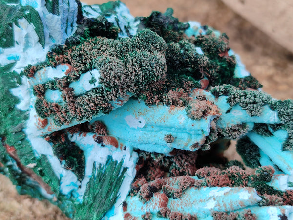 Natural Chrysocolla Blade Crystal Pseudomorph after Malachite with Drusy Coated Ball Malachite on Dolomite x 2 From Lupoto Mine, Congo