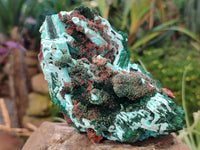 Natural Chrysocolla Blade Crystal Pseudomorph after Malachite with Drusy Coated Ball Malachite on Dolomite x 2 From Lupoto Mine, Congo