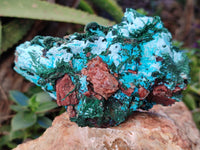 Natural Chrysocolla Blade Crystal Pseudomorph after Malachite with Drusy Coated Ball Malachite on Dolomite x 2 From Lupoto Mine, Congo