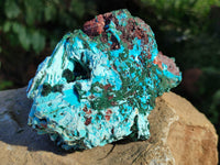 Natural Chrysocolla Blade Crystal Pseudomorph after Malachite with Drusy Coated Ball Malachite on Dolomite x 2 From Lupoto Mine, Congo