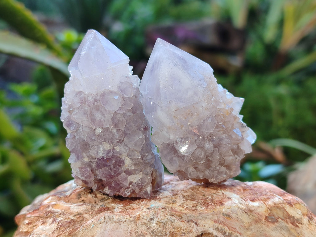 Natural Ametrine Spirit Quartz Crystals x 27 From Boekenhouthoek, South Africa - Toprock Gemstones and Minerals 