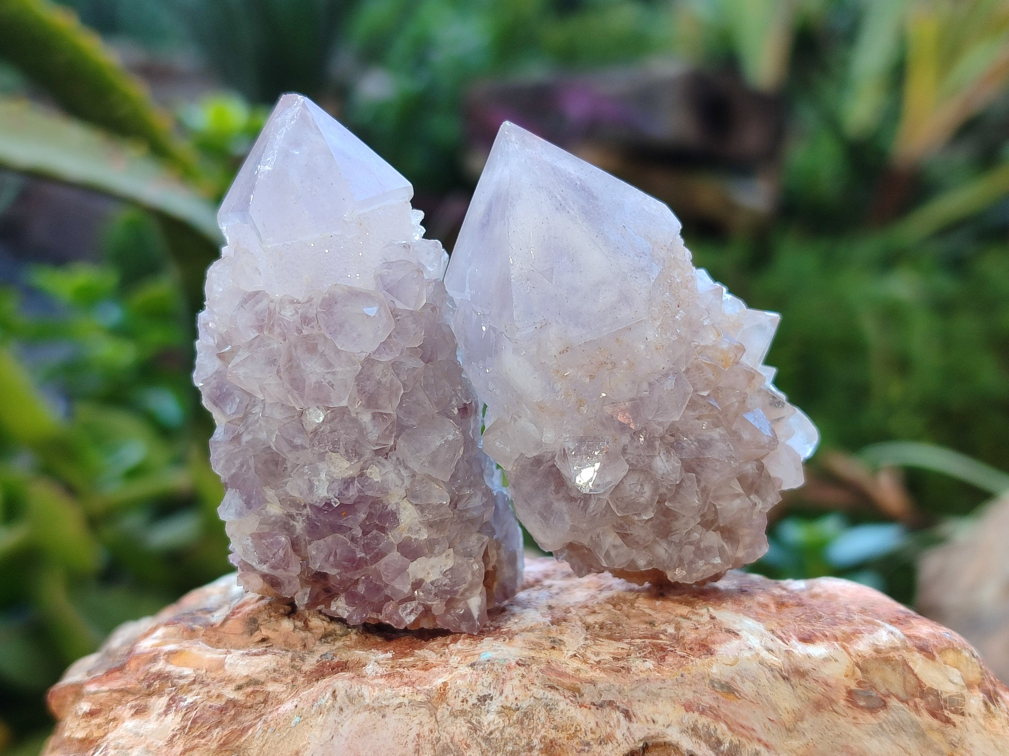 Natural Ametrine Spirit Quartz Crystals x 27 From Boekenhouthoek, South Africa - Toprock Gemstones and Minerals 