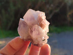 Natural Ametrine Spirit Quartz Crystals x 27 From Boekenhouthoek, South Africa - Toprock Gemstones and Minerals 