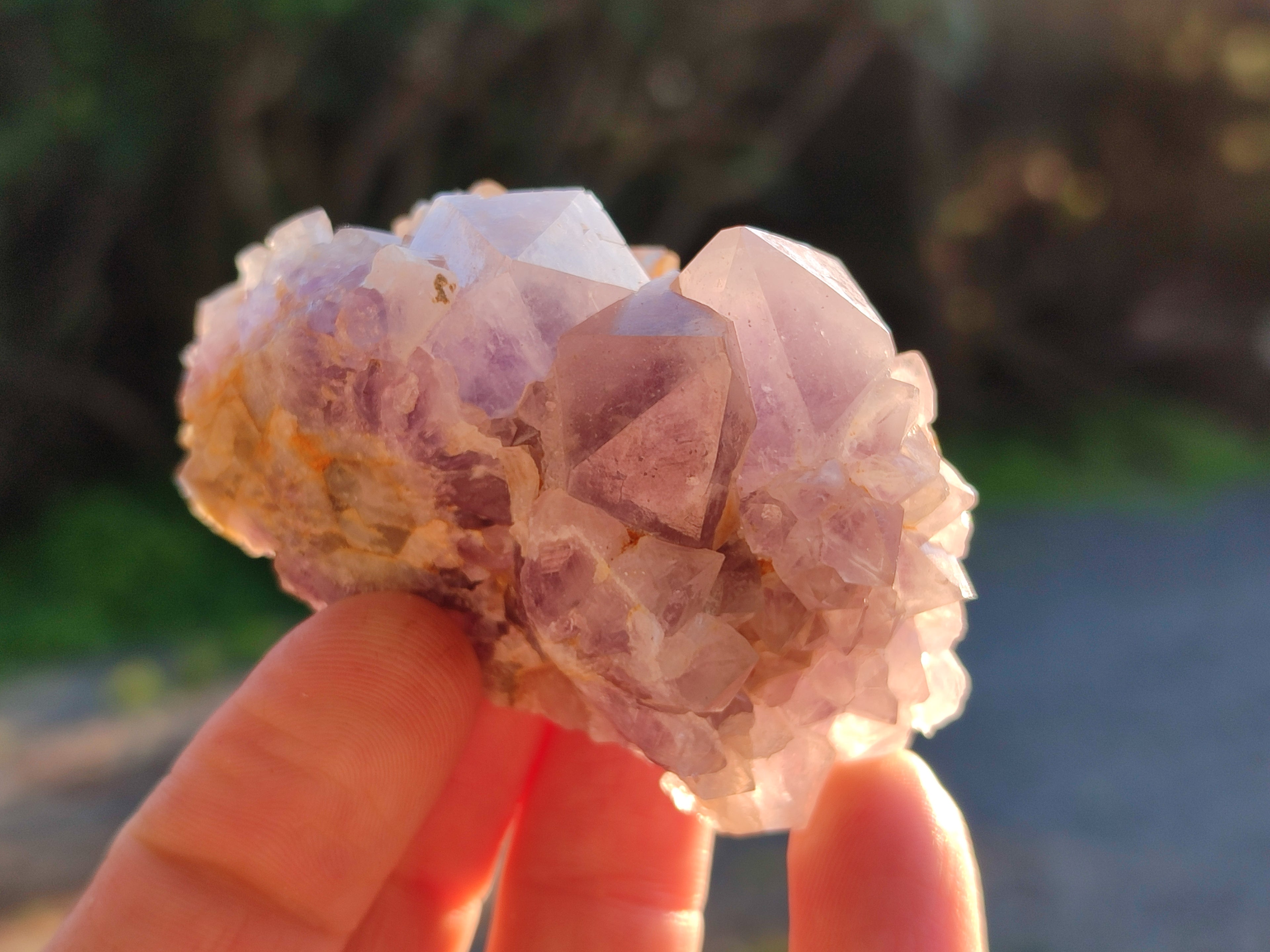 Natural Ametrine Spirit Quartz Crystals x 27 From Boekenhouthoek, South Africa - Toprock Gemstones and Minerals 