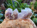 Natural Ametrine Spirit Quartz Crystals x 27 From Boekenhouthoek, South Africa - Toprock Gemstones and Minerals 