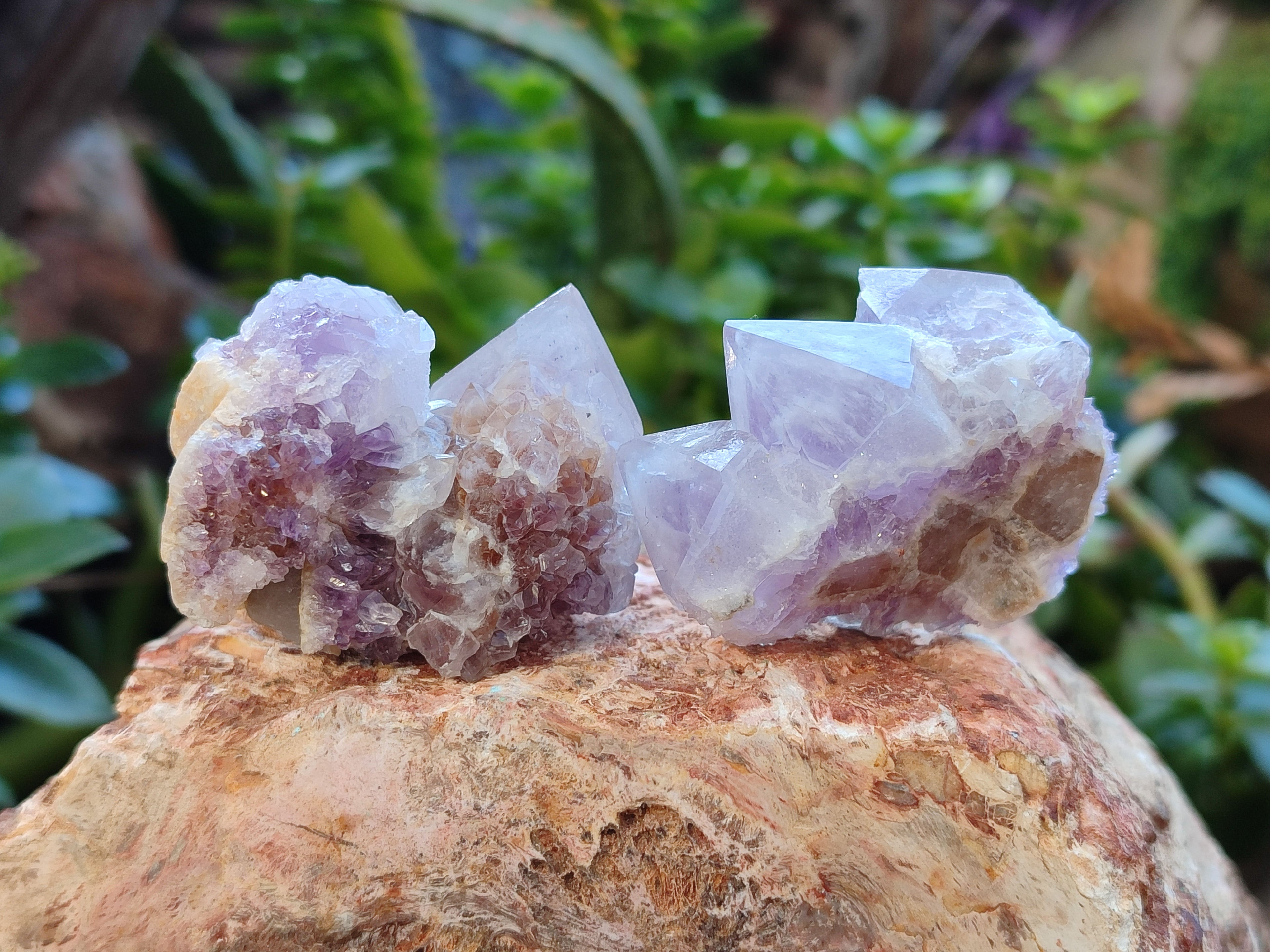 Natural Ametrine Spirit Quartz Crystals x 27 From Boekenhouthoek, South Africa - Toprock Gemstones and Minerals 