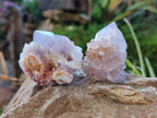 Natural Ametrine Spirit Quartz Crystals x 27 From Boekenhouthoek, South Africa - Toprock Gemstones and Minerals 