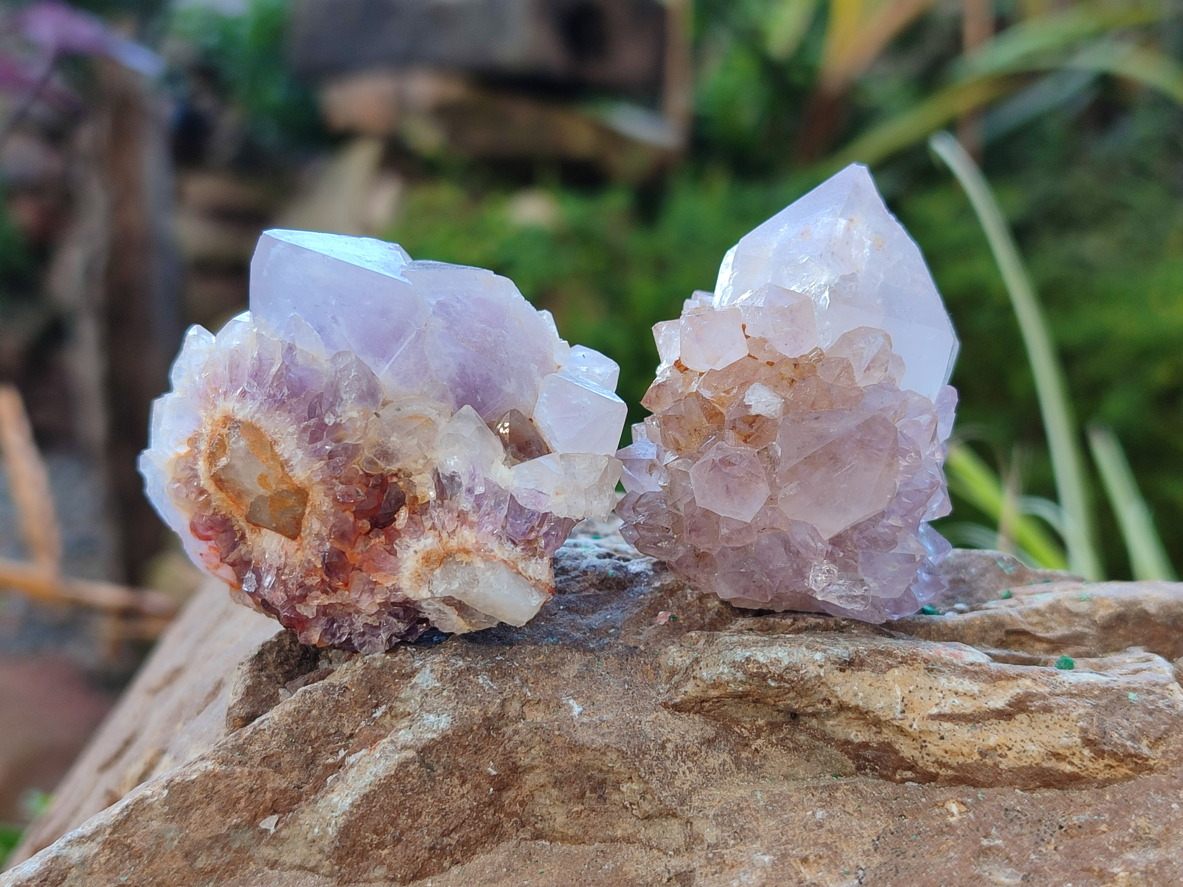 Natural Ametrine Spirit Quartz Crystals x 27 From Boekenhouthoek, South Africa - Toprock Gemstones and Minerals 