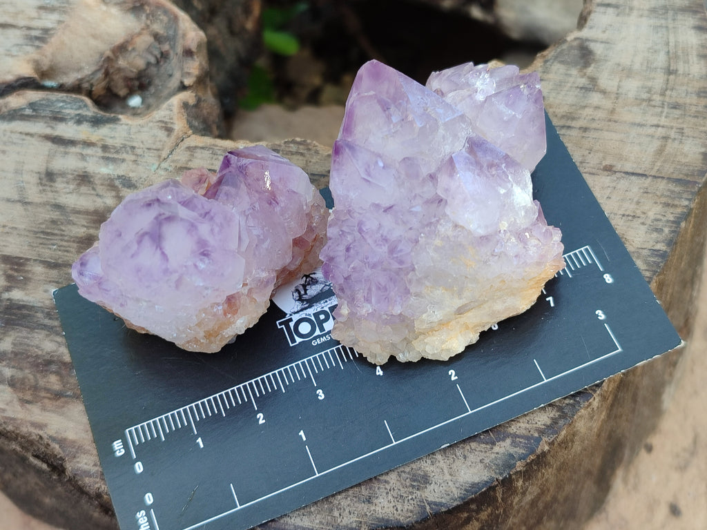 Natural Ametrine Spirit Quartz Crystals x 27 From Boekenhouthoek, South Africa - Toprock Gemstones and Minerals 